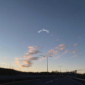 好莱坞丰满视频网站
