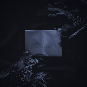 好莱坞丰满视频网站
